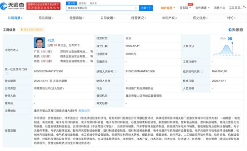 比亞迪成立弗迪實(shí)業(yè)，布局人工智能應(yīng)用軟件開發(fā)